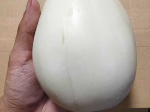 長崎県産とろ～り白ナス　3〜4個入り