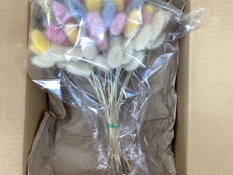 ‘‘ノウフク”カラフルラグラス100本束