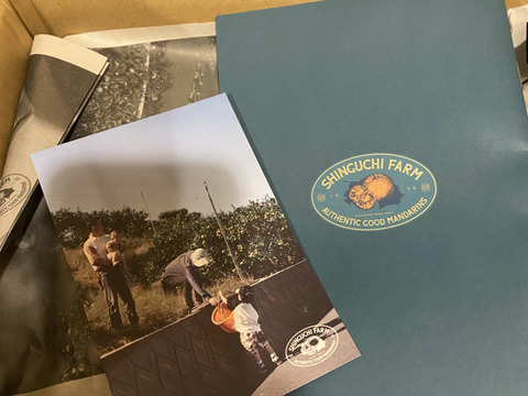 【訳ありだけど美味しさそのまま】甘平 3kg － 愛媛県産・訳あり