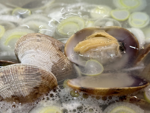 ワイズユースの恵み　根室市風蓮湖・温根沼産　豆アサリ＜1.5㎏＞　砂抜き済み