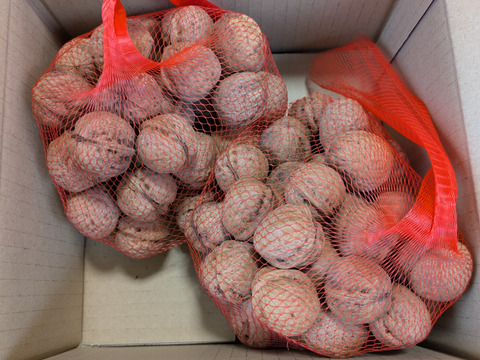 信州産殻付き菓子クルミ1kg(58~65個)