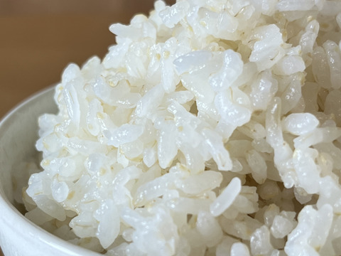 【令和6年産新米】清らかな地下水で育てたお米！スプリングライス こしひかり・ミルキークィーン ブレンド (胚芽米)5kg【低農薬米】