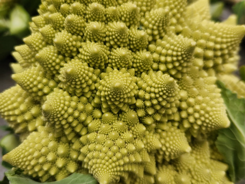 旬の野菜セット ！！