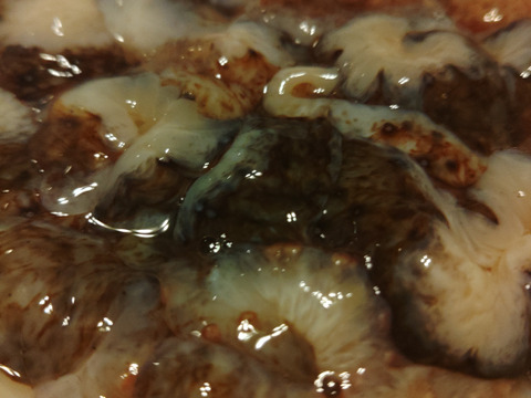 【漁師直送】青森県深浦町産 天然 赤ナマコ・黒ナマコ（混在）【1kg】