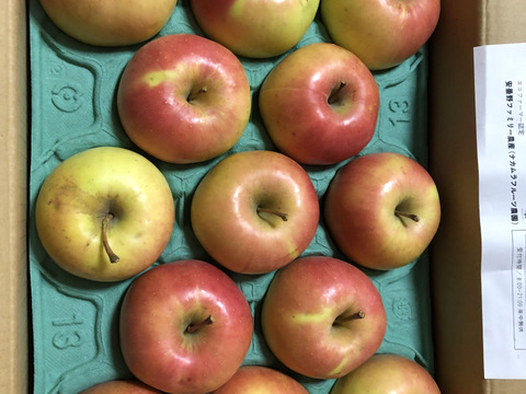 【このりんごを嫌いな人はいますか？？】名月 3キロ箱 6玉〜15玉サイズ 商品ID44435 ぐんま名月 甘い 信州 リンゴ 幻 幻のリンゴ 予約 希少