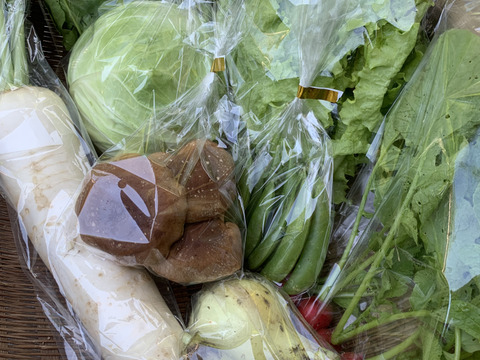 ギフトにも！きのこ入り！旬のお野菜セット　8〜10品目熨斗対応可＜農薬、化学肥料不使用＞【冬ギフト】