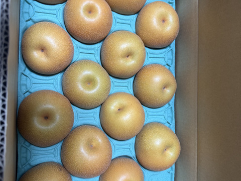 豊水呉羽梨家庭用玉数お任せ