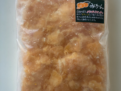 【母の日ギフト】【こどもの日ギフト】冷凍フルーツ詰め合わせ　本州の方限定