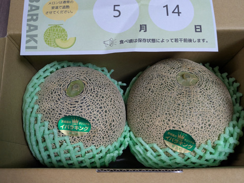 【糖度満点イバラキング】                                   口の中でとろけて飲める果実🍈