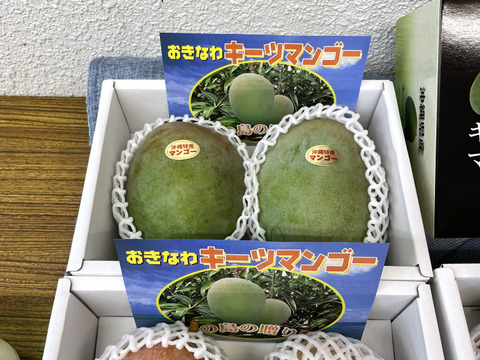 【限定数販売】沖縄・宜野座育ちのキーツマンゴー【1玉、約800g以上】