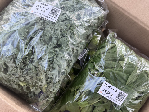 有機JAS認証☆採れたておまかせ野菜セット☆彡10～12品