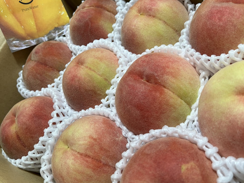 川中島白桃（8月下旬お届け）【わけあり家庭用 3kg】ジュワッと果汁溢れる！白桃