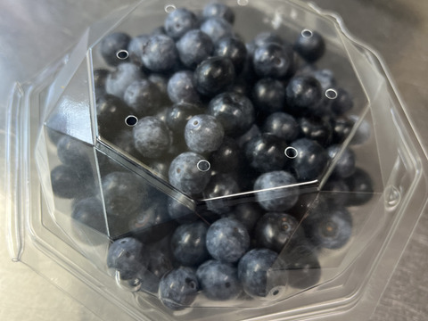 栽培期間中農薬化学肥料不使用！【生ブルーベリー】250g×2p
【生食用】