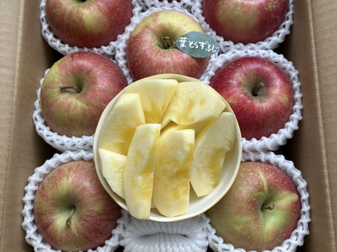 【冬ギフト】 🍎レビュー数1700件突破！！《家庭用》青森完熟葉とらずふじ８〜１２玉(約３kg)🍎ID119812