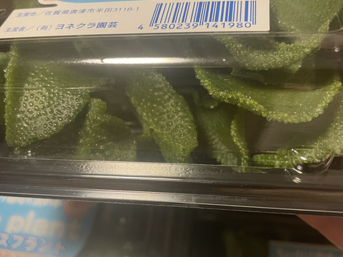 （70g×30パック）【プチっと食感／ほんのり塩味】アイスプラント大容量