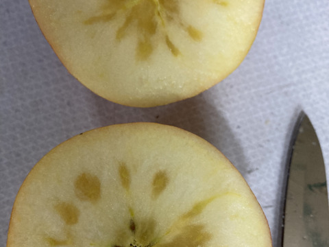 農薬散布3回のみ！超農薬削減栽培こうとく　蜜入チェック済！箱込約1.5キロ6-10個位！　奇跡のりんご