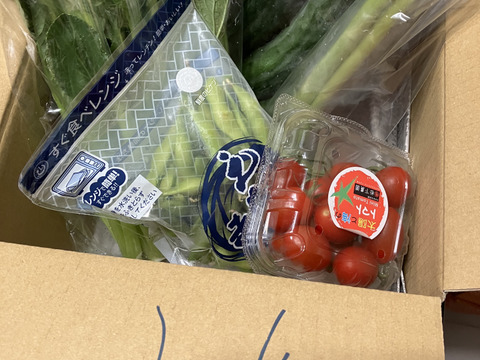 採りたて野菜！お試し5品セット！（本州の方限定）