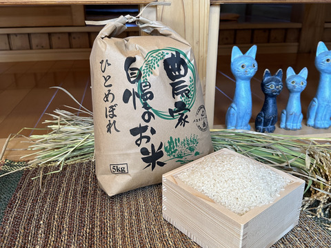 令和6年度新米!!宮城県産ひとめぼれ5ｋｇ（精米）