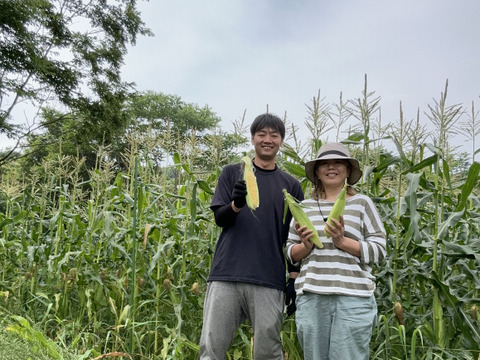 朝穫れ！プリあま大粒とうもろこし【農薬化学肥料不使用】2キロ6本