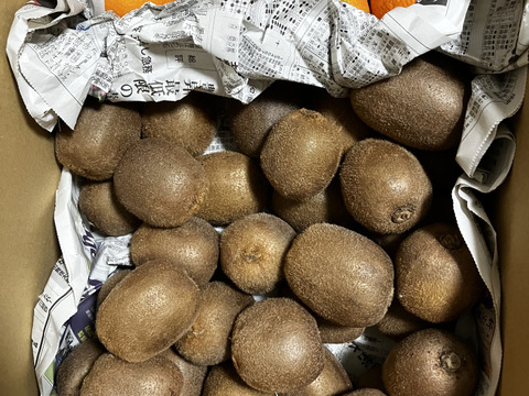 じゅわっとジューシー！甘い甘い国産キウイ3kg（30個前後）柑橘のおまけ付き