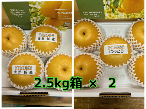 【秋の梨詰め合わせ🍐】新高とにっこり贈答用約5kg✨樹上完熟の甘くとってもフルーティーな新高と甘くてとってもジューシーなにっこり梨の食べ比べ‼️お届け後の日持ちを良くするためクール便で最速発送🚚