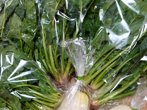 冬の本気！ギュッと濃い味肉厚ほうれん草（200ℊﾊﾟｯｸ×１０Ｐ）