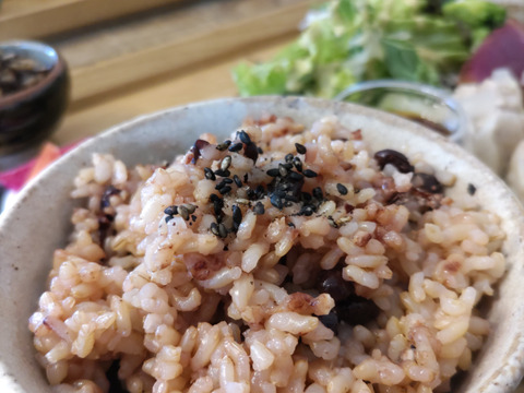 【令和7年産売切れ】米・穀類🥇１位受賞✨食べチョクAW2023【特別栽培米コシヒカリ 玄米２０ｋｇ（10ｋｇ×②）】天然資材＆有機質肥料のみ・動物性堆肥不使用・低農薬（80％以上削減）