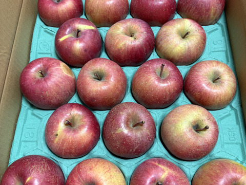 残りわずか！味濃い甘い！サンふじ★無肥料.農薬節約30%〜.除草剤.摘果剤.摘葉剤不使用★【5kg箱】
玉数指定不可/予約販売開始！/家庭用/りんご