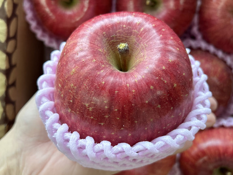 【コンテスト特別賞✨受賞園地】山形県産サンふじりんご【特秀3キロ】熨斗対応致します