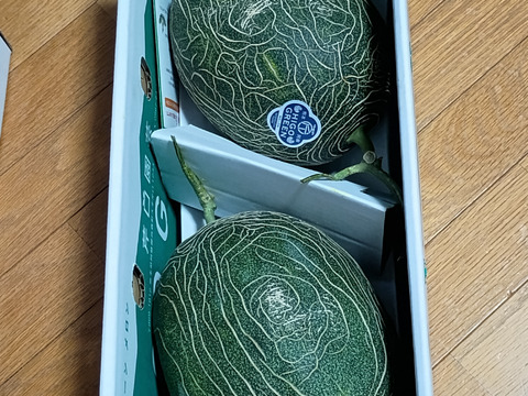 訳アリ！肥後グリーンメロン大きめ2玉（合計4.5キロ以上）