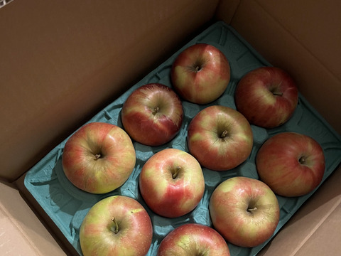 【家庭用】紅玉 約2.5kg(7-14玉) 昔ながらの酸っぱい林檎 9月下旬頃発送開始予定 #NAK0B025