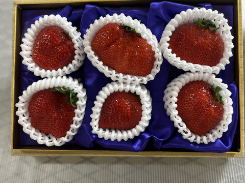 あまおう大玉ギフト