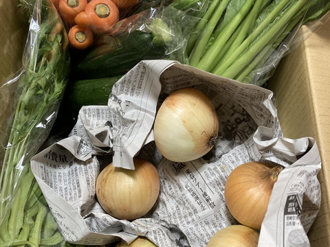 【未来をつくる笑み野菜】宮崎県産☆季節のお野菜セットL(8～9品程度)☆