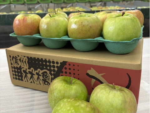 甘くない贅沢！これぞグラニースミス３㎏（７～１２玉）