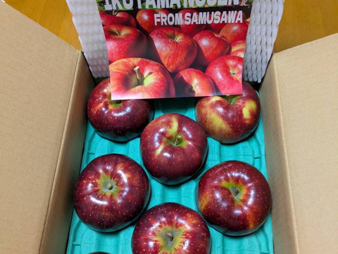 綺麗な秋映 ３キロ箱 7～11玉 長野県産