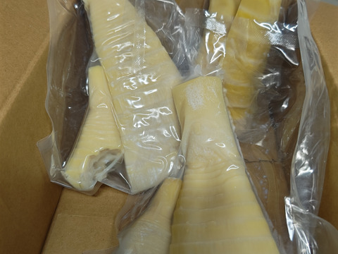 新鮮タケノコの水煮300g×3p約1キロ（クール便)