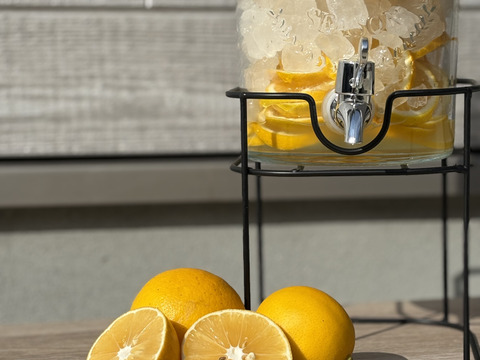 佐賀県太良町産レモン1.5kg