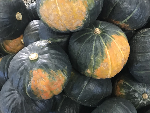 《北海道産》かぼちゃ~特濃こふき~5kg