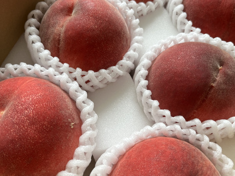 予約販売☆桃『八幡白鳳』☆2kg化粧箱