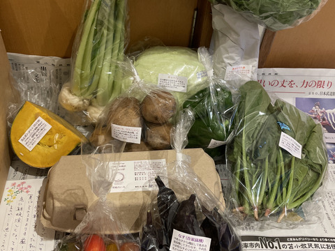 【北海道発】平飼い鶏の有精卵10個＆季節の有機野菜セット【予約受付中】【たまご抜きOK】