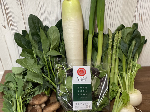 【山形庄内特産】春の野菜セットLサイズ〈9-10品目〉