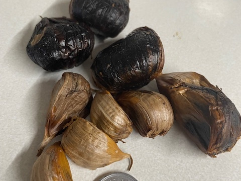 訳アリ　黒にんにく　青森産　福地ホワイト六片　500ｇ