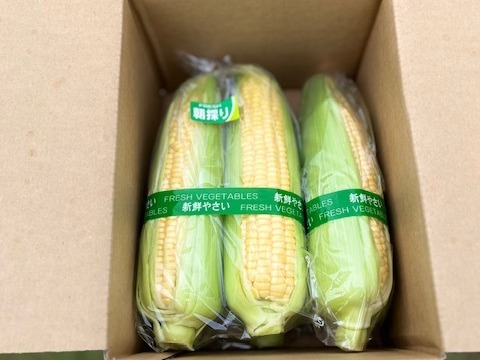 旬なとうもろこしゴールドラッシュとミライの食べ比べセット