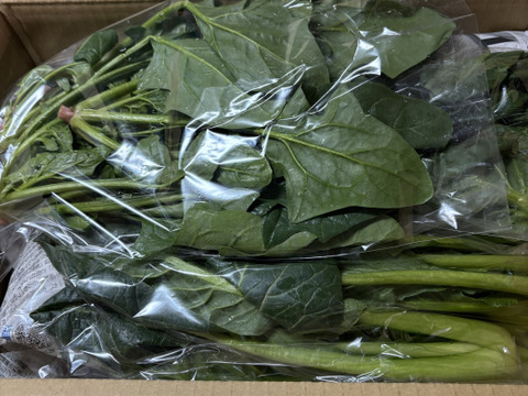 標高800mで育った高原野菜S(9-10品目)野菜セットS