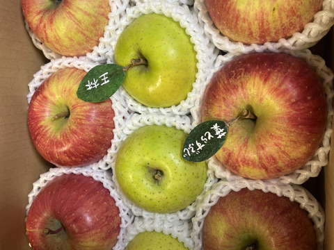 【冬ギフト】 🍎大人気🍏葉とらずふじ・王林  計9～15玉
詰め合わせ3キロ箱 ミックス ID118320