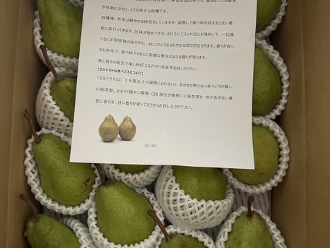 ラ・フランスとちょっと違う　　西洋梨　希少品種（エル・ドラド）18玉～２０玉