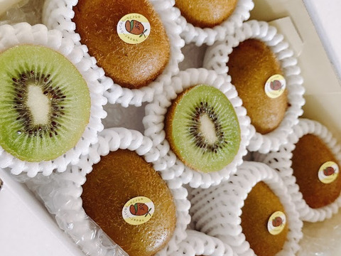 【静岡産ギフト】掛川産おすすめギフト♪グリーンキウイ詰め合わせセット【熨斗対応可】9個前後入り：MG