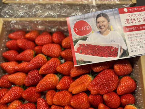 【食べ比べ】お得な大満足の2000g食べ比べセット！人気品種「紅ほっぺ」1000g+静岡限定品種「きらぴ香」1000g or 希少品種「おいCベリー」1000gのどちらかのランダムパック!