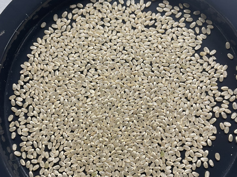 重ちゃんのペットボトル米もち麦0.5合Xコシヒカリ1.5合 X10(無洗米) 令和5年産