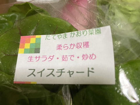 【常温便】カラフル・レア野菜で元気に！
『Ⅿサイズ★カラダ喜ぶ春野菜セット8品目』
初めての野菜でも安心の簡単レシピ付き、贈り物にも最適です！